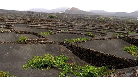 Sols volcaniques du parc national Albert-watch