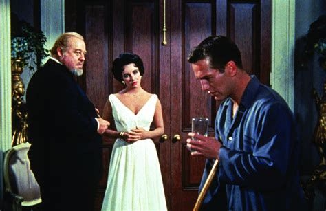 Cat on a Hot Tin Roof: Playing Cat and Mouse-watch