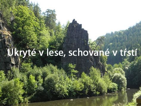 Ukryté v lese, schované v tŕstí-watch