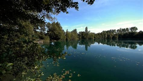 Dschungel unter Wasser Dschungel unter Wasser-watch