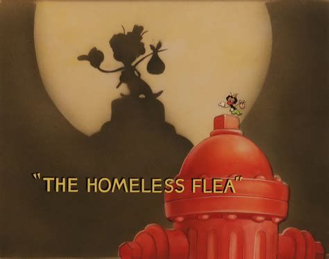 The Homeless Flea-watch