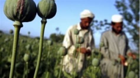 Afghan Heroin: The Lost War-watch