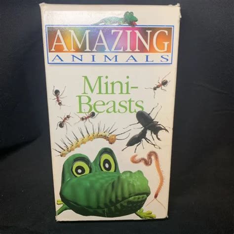 Amazing World of the Mini Beasts Amazing World of the Mini Beasts-watch