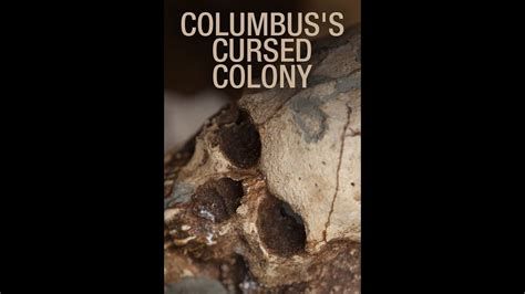 Columbus's Cursed Colony-watch