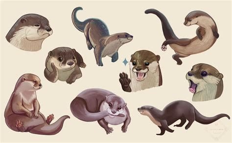 An Otter Study An Otter Study-watch