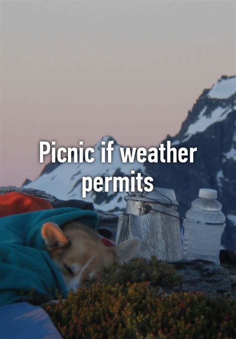 If the Weather Permits If the Weather Permits-watch