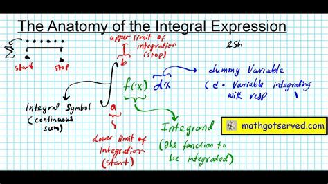 Integral Anatomy, Vol. 3: Cranial and Visceral Fasciae-watch