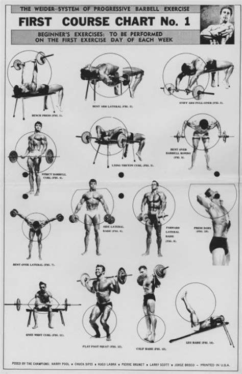 Joe Weider's Bodybuilding Training System, Session 9: Advanced Training – The Weider Principles-watch