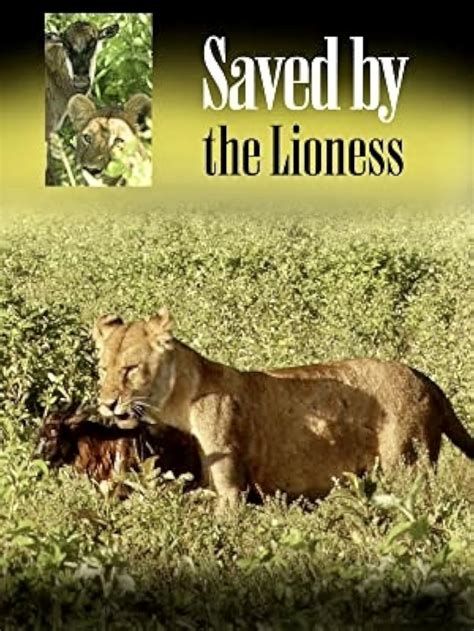 Saved by the Lioness-watch