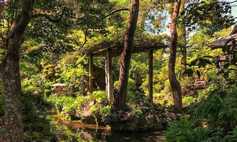 Forest Gardening with Robert Hart-watch