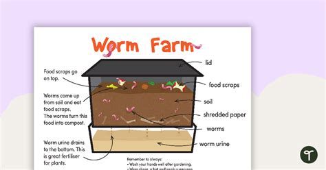 Worm Farm-watch