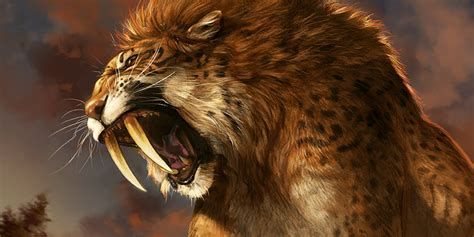 Extinction of the Saber-Toothed Housecat-watch