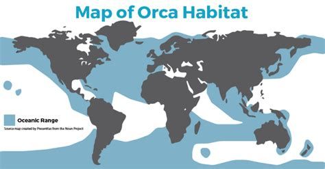 Killer Whale Habitat and Distribution - National Geographic Documentary Killer Whale Habitat and Distribution - National Geographic Documentary-watch