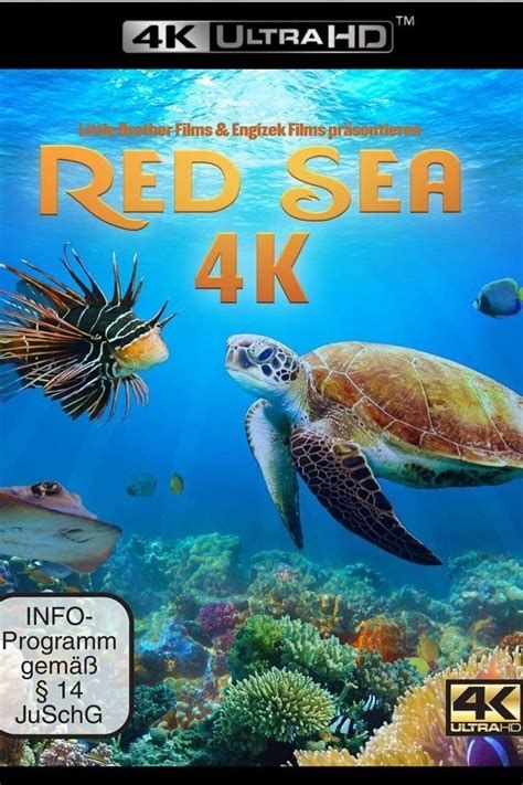Red Sea Red Sea-watch