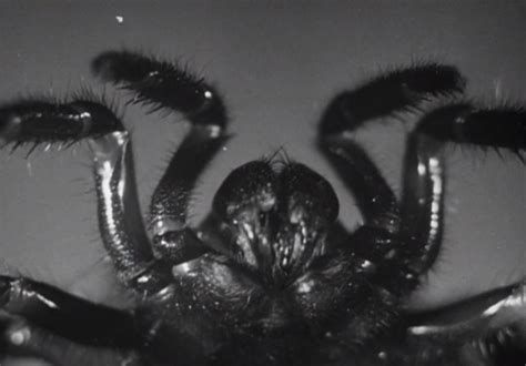 Microscopic Mysteries Microscopic Mysteries-watch