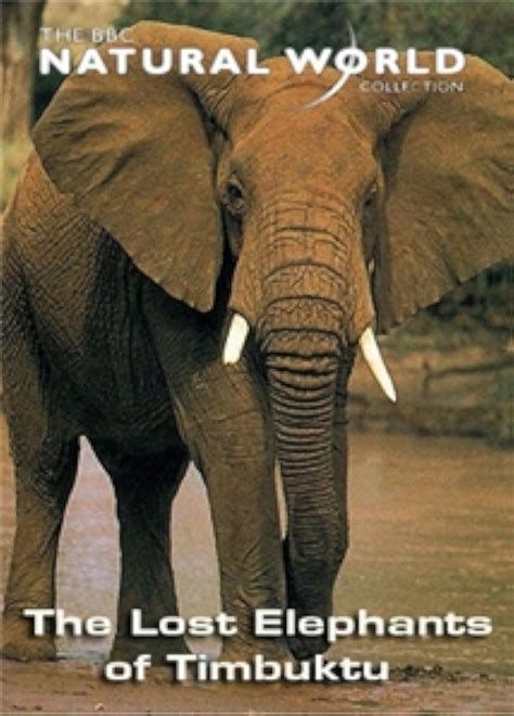 The Lost Elephants of Timbuktu The Lost Elephants of Timbuktu-watch