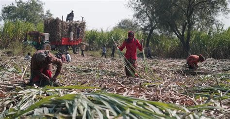 Inde : les villages sans utérus / RDC : le long chemin d’un salaire-watch