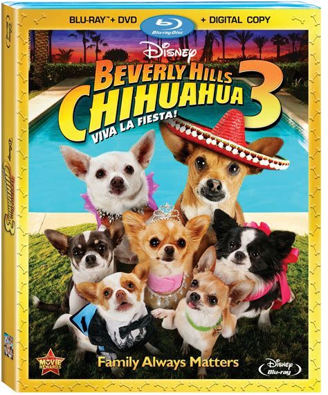 Legend of the Chihuahua-watch