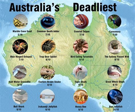 Australia's Deadliest Destinations Australia's Deadliest Destinations-watch