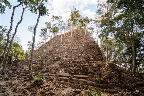 El mirador-watch