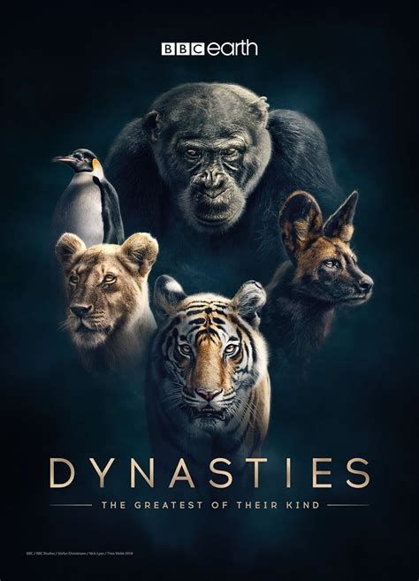 Dynasties-watch