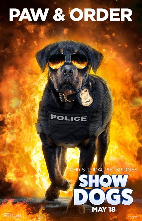 Send In The Dogs Send In The Dogs-watch