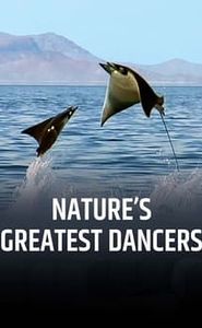 Nature's Greatest Dancers-watch