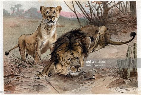 Alfred Brehm: The Feelings of Animals Alfred Brehm: The Feelings of Animals-watch
