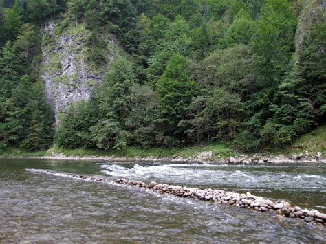 Návraty k divočině Návraty k divočině-watch