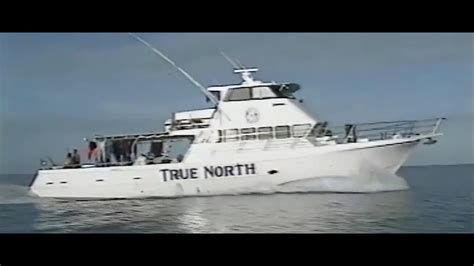 True North True North-watch