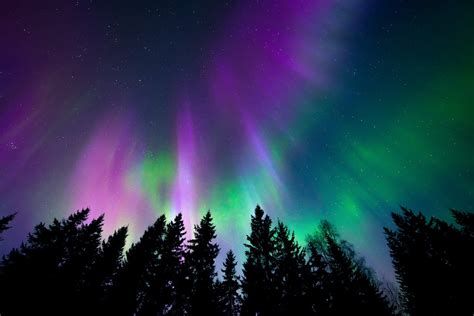 Die Nordlichter Die Nordlichter-watch