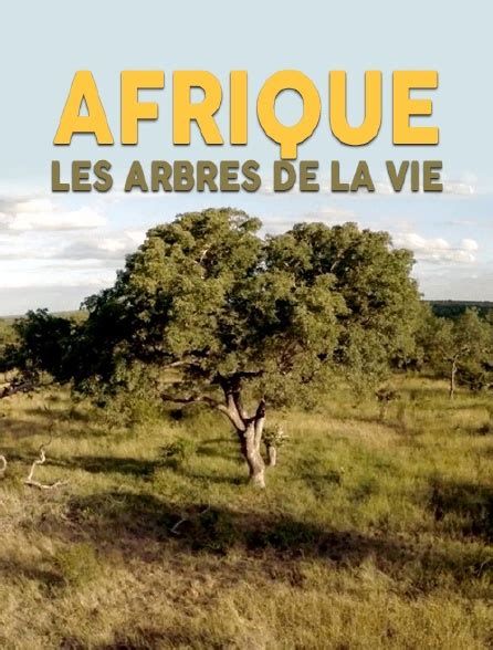 Afrique, les arbres de la vie Afrique, les arbres de la vie-watch