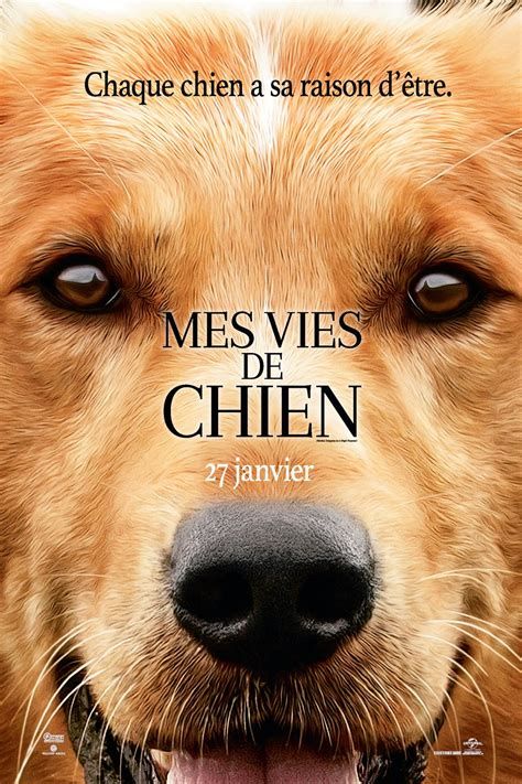 Vies de chiens-watch