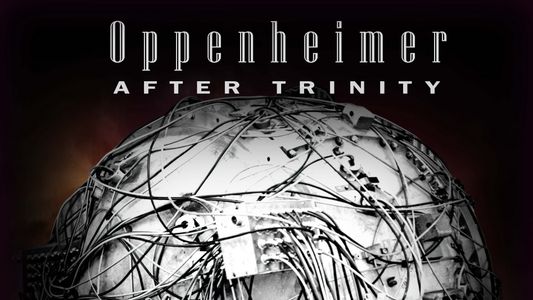 Oppenheimer After Trinity 2023