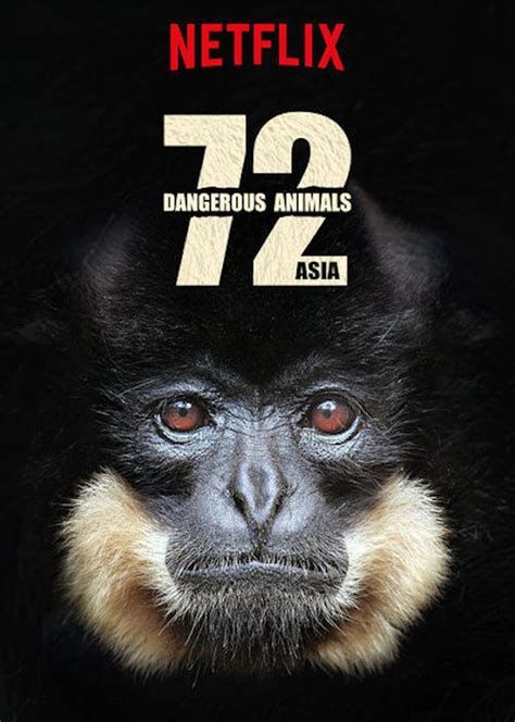 Dangerous Animals
