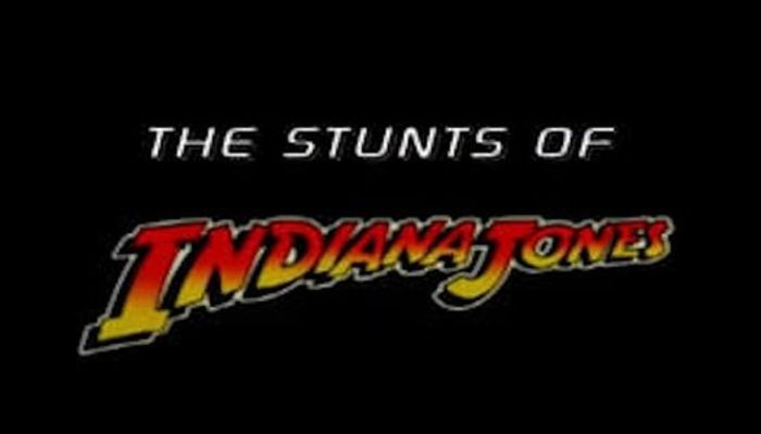 Les Cascades dans Indiana Jones 2003