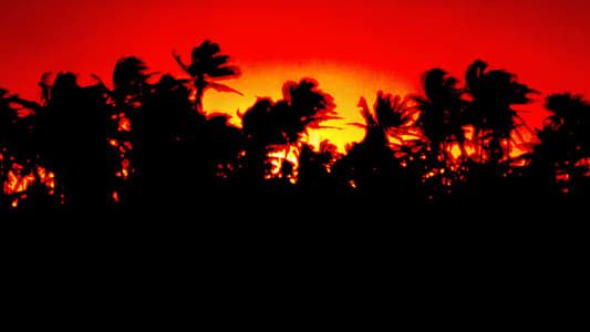 The Making of 'Jurassic Park' 1995