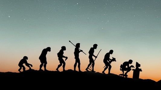 Lo and Behold, Reveries of the Connected World 2016