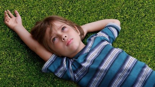 Boyhood 2014