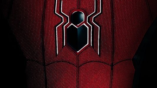 Spider-Man : Tous les chemins mènent à No Way Home 2022