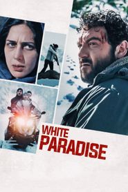 Les Survivants series tv