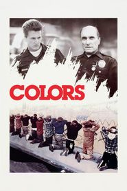 Colors 