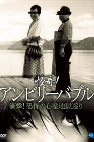 怪奇！アンビリーバブル 衝撃！恐怖の心霊地獄巡り 