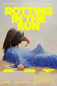 Rotting in the Sun 
