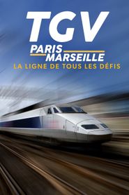 TGV Paris-Marseille, ligne de tous les défis 