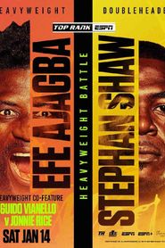 Efe Ajagba vs. Stephan Shaw 