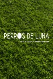 Perros de luna 