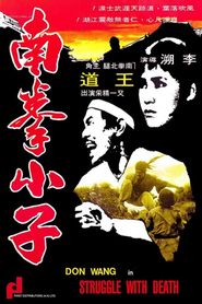南拳小子 