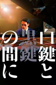 白鍵と黒鍵の間に 