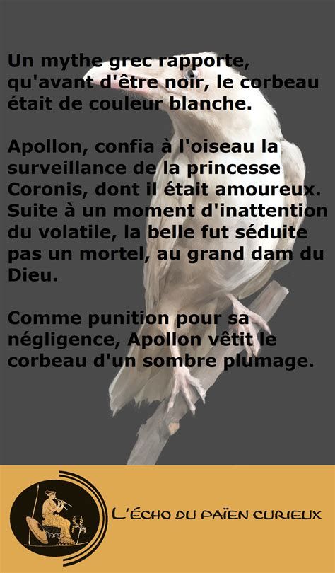 La Disette du Corbeau